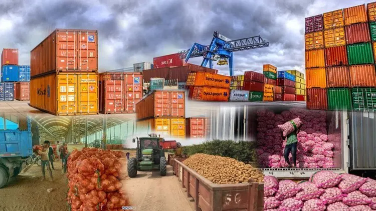 Global Export