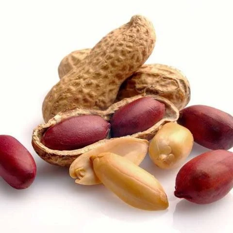 Groundnuts peanuts Andhra Pradesh
