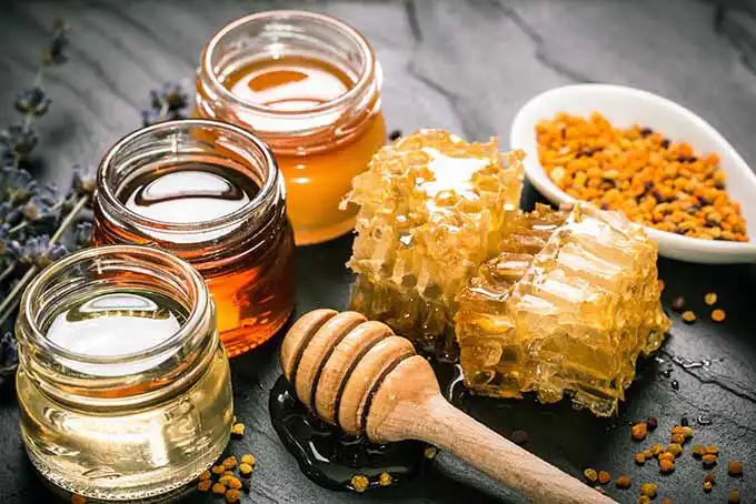 Natural Nectar Honey varieties