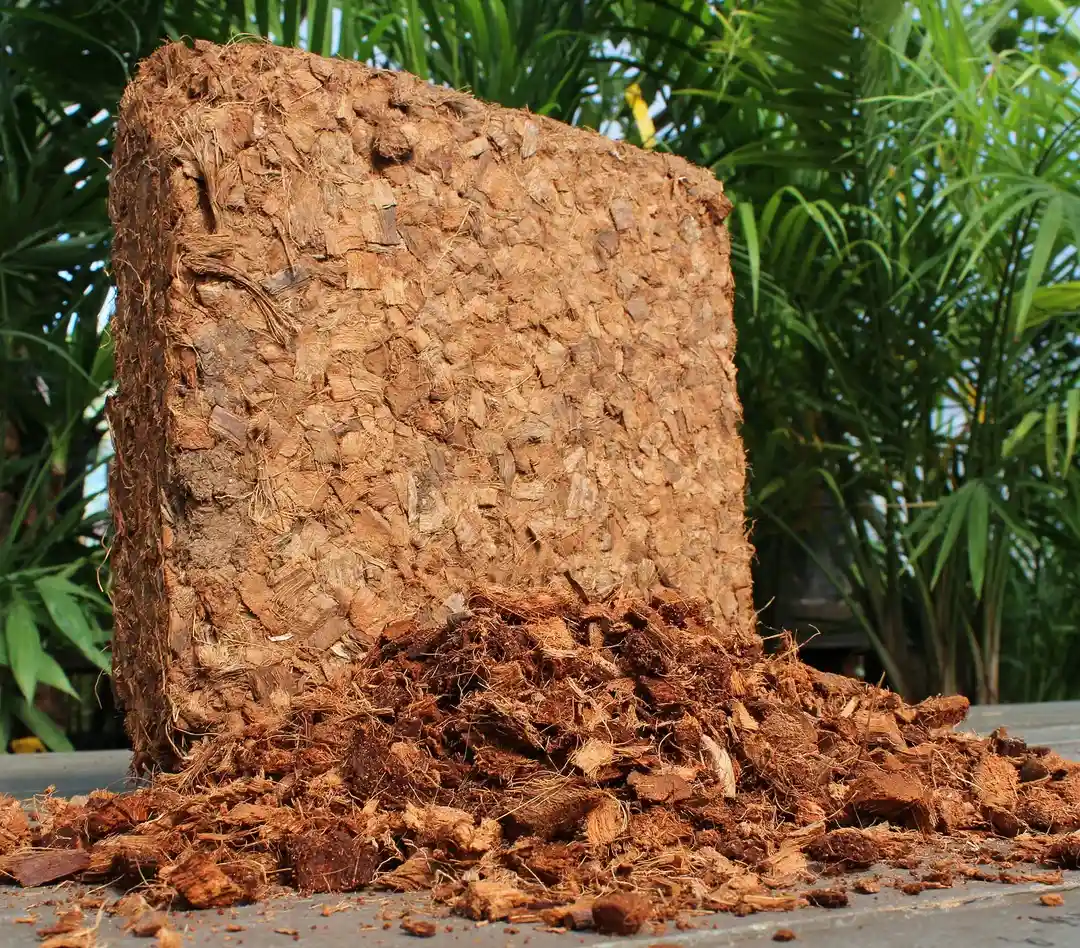 Coco Husk Chips