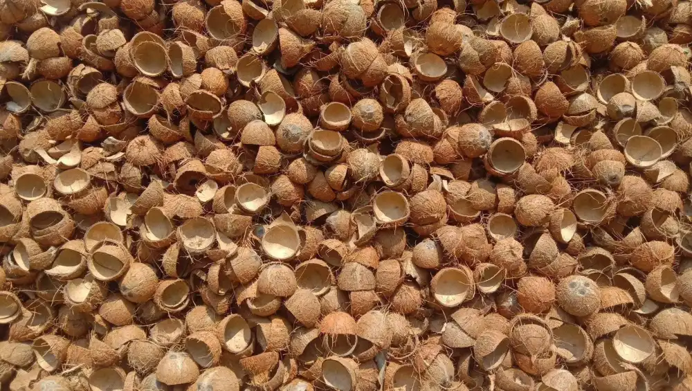 Coconut Shell Charcoal